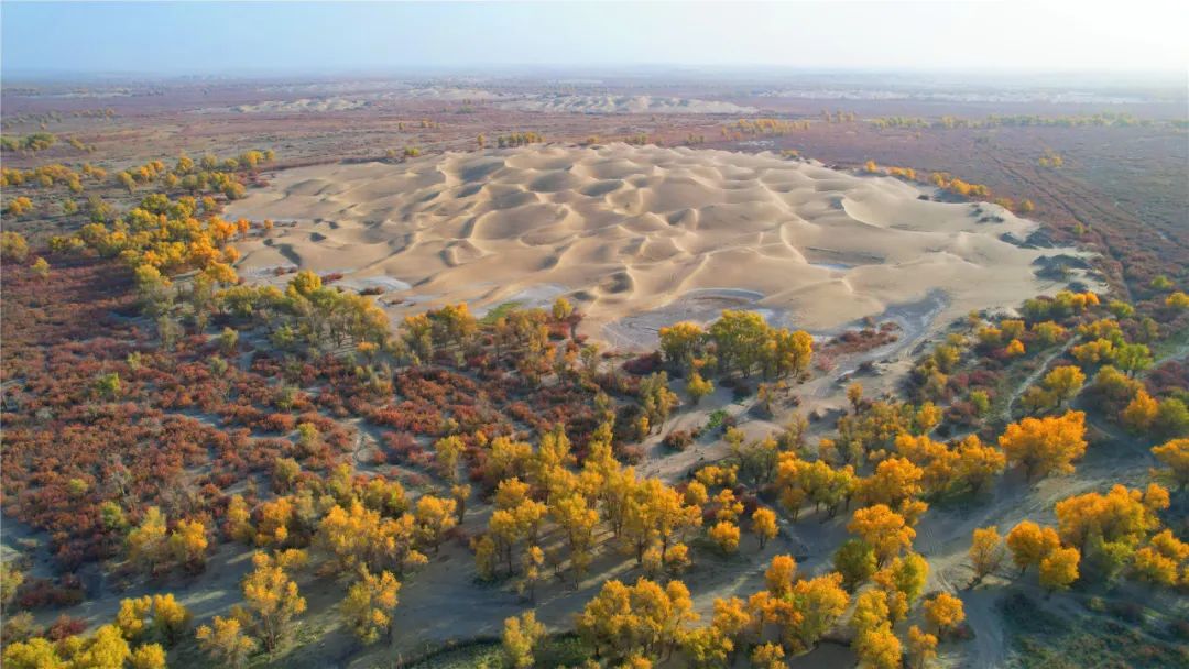 aoa体育教练-镇江田于队实力逐渐增强，蓄势待发冲击榜首的简单介绍